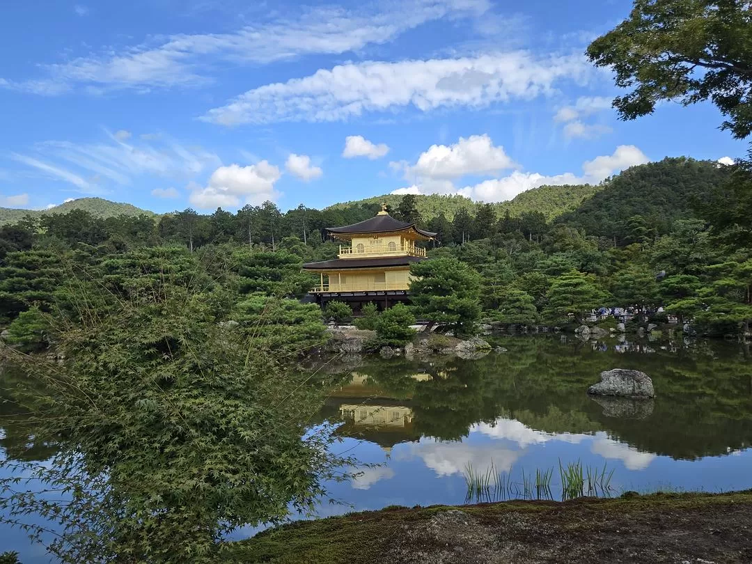旅游推荐一人游：💝体感40度的天气和日行两万步的关西行