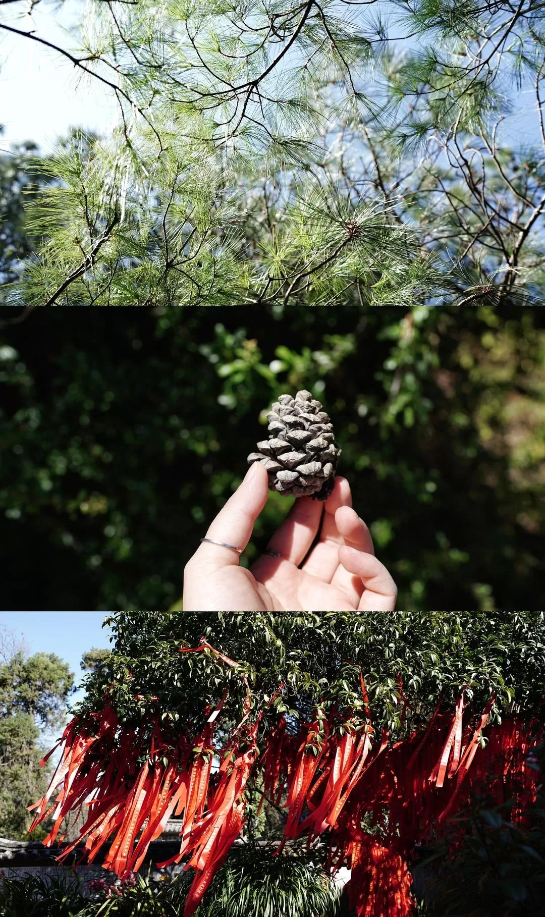 旅游推📢荐一人游：大理一个人的走走停停