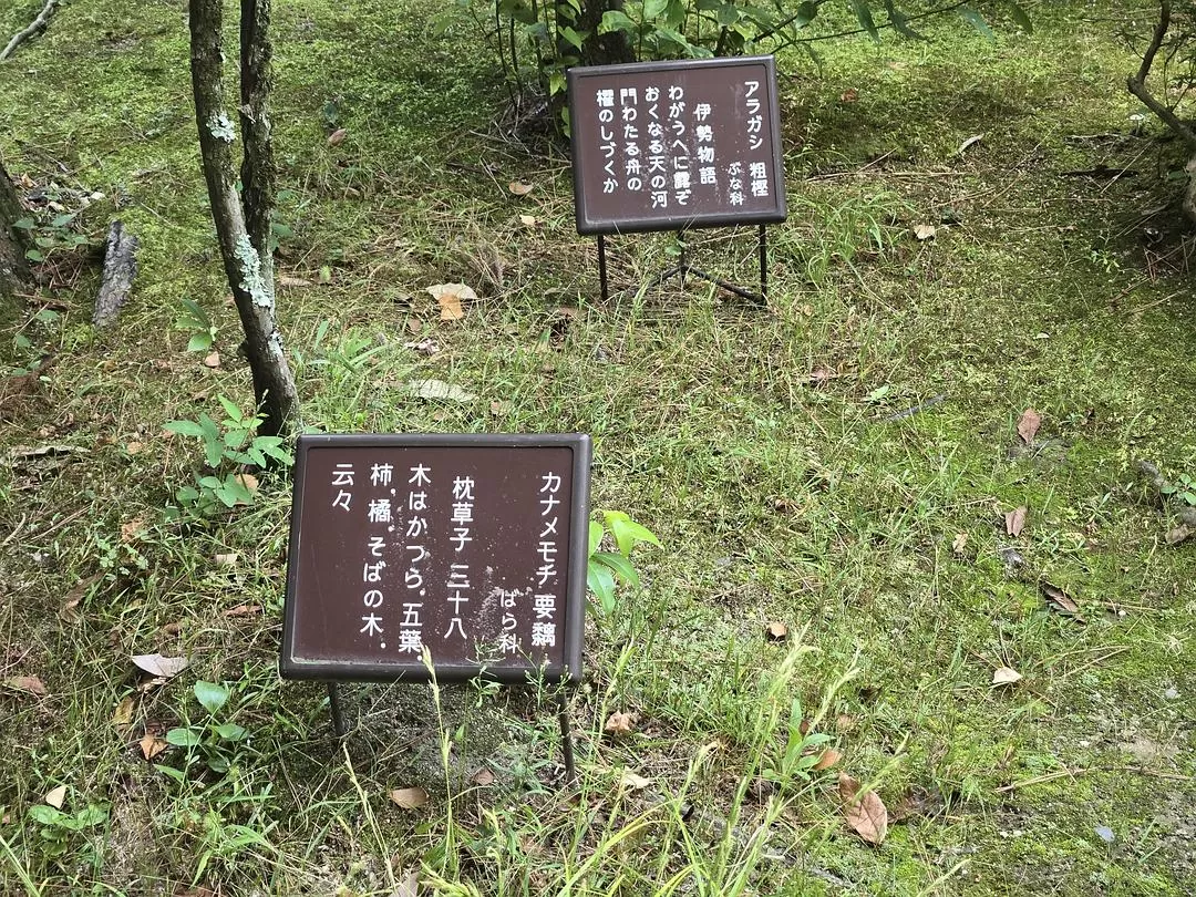 旅游推荐一人游：💝体感40度的天气和日行两万步的关西行