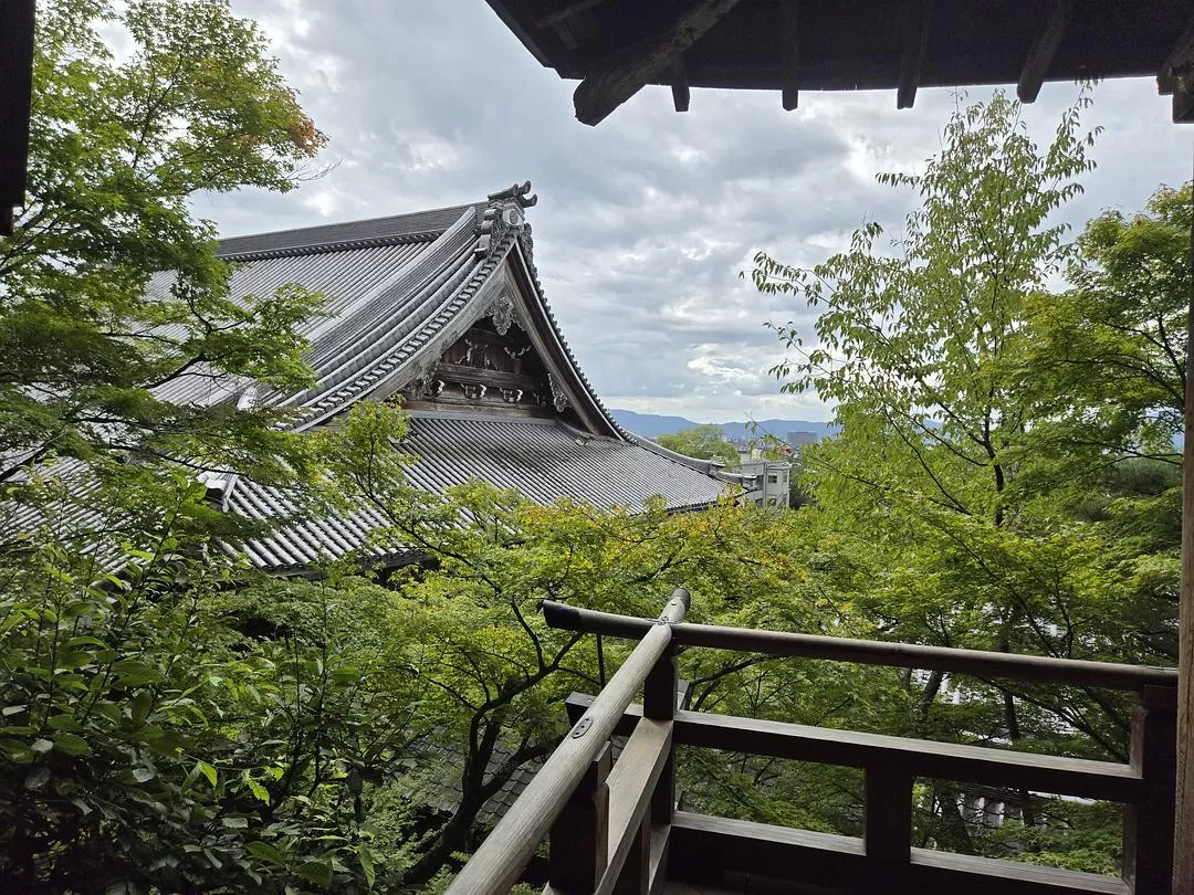旅游推荐一人游：💝体感40度的天气和日行两万步的关西行
