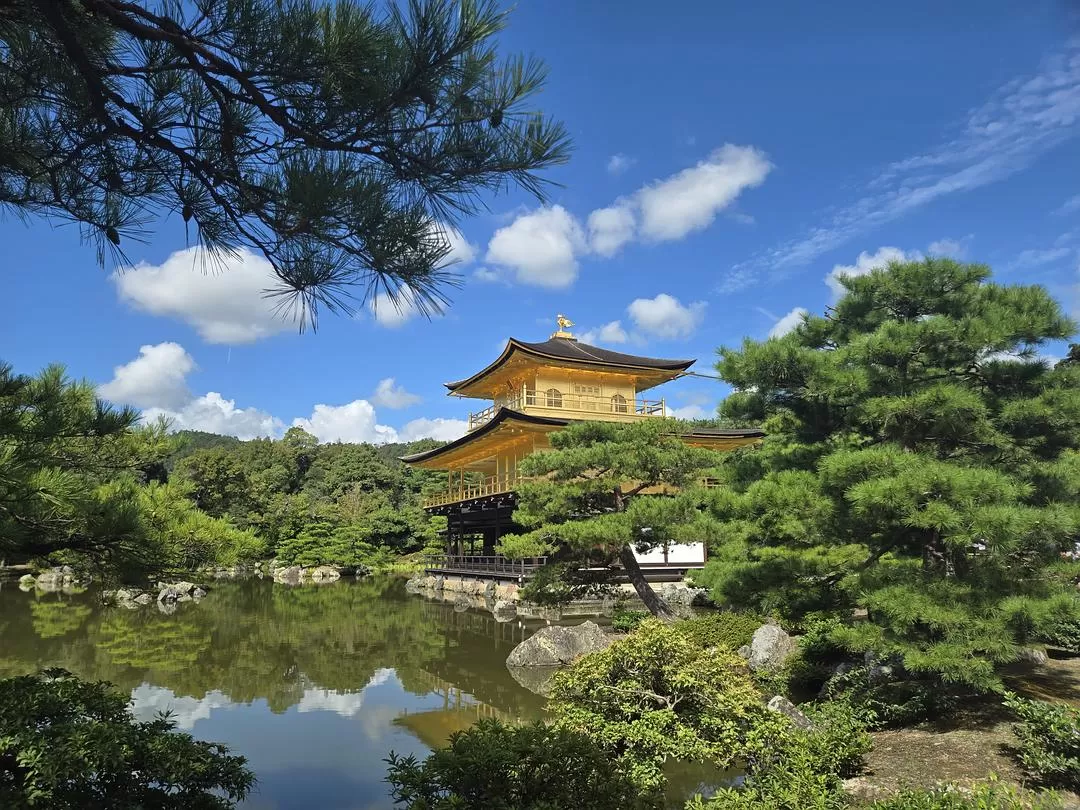 旅游推荐一人游：💝体感40度的天气和日行两万步的关西行