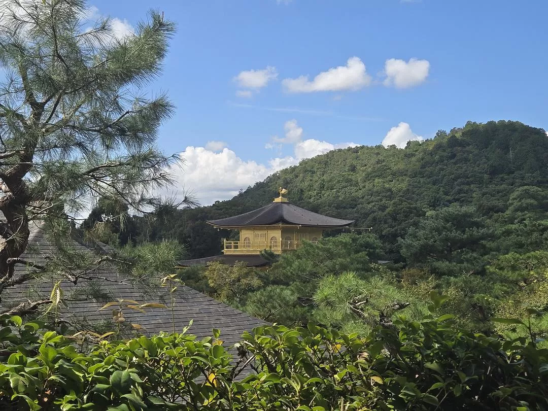 旅游推荐一人游：💝体感40度的天气和日行两万步的关西行