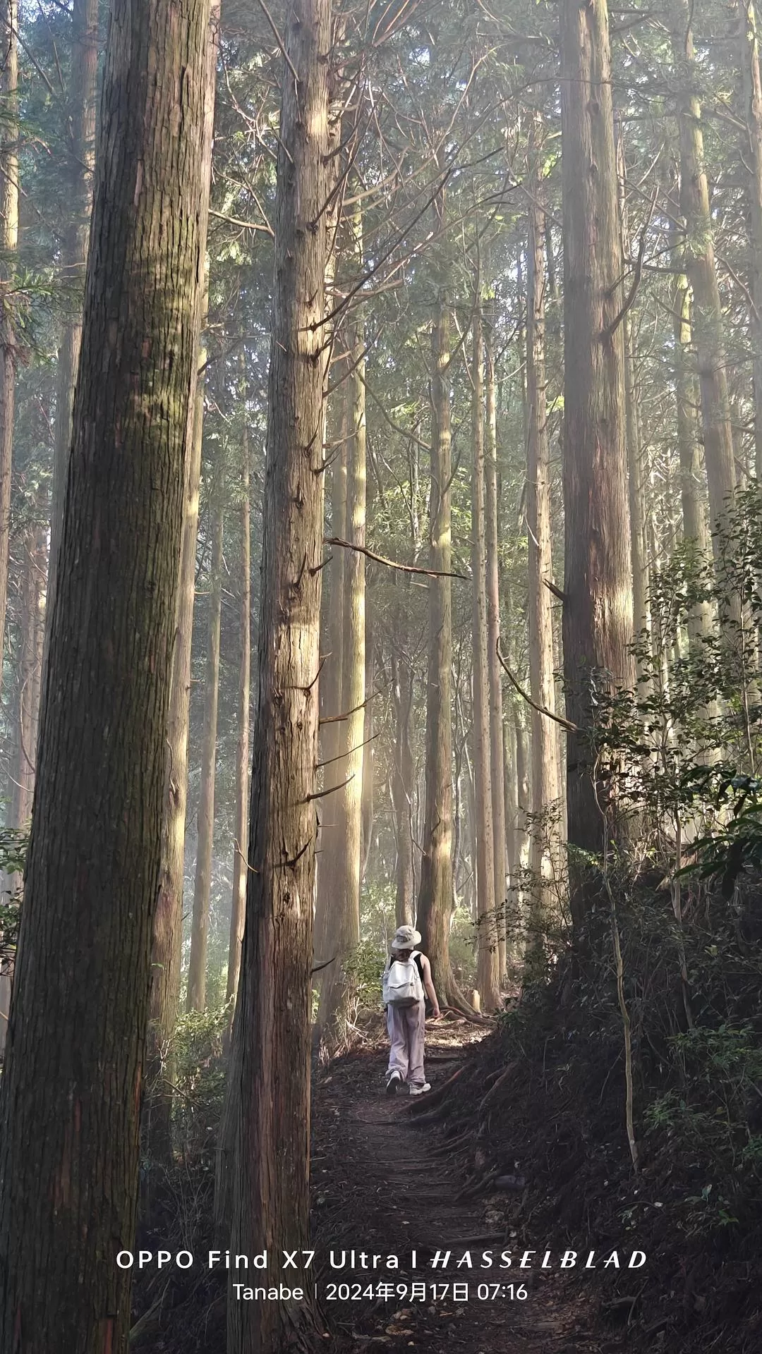 旅游推荐两💓人游：除了吃以外大成功之熊野古道徒步休闲之旅(更新30％)