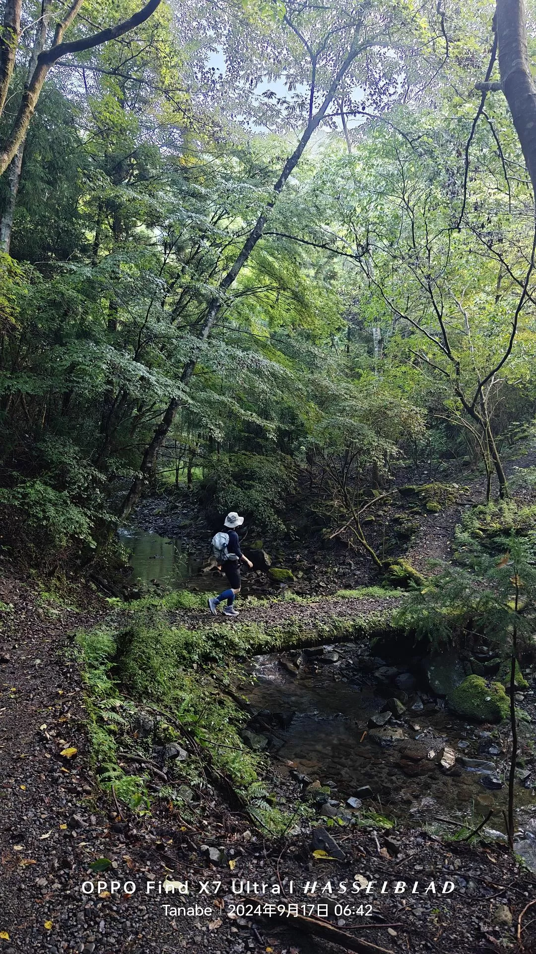 旅游推荐两💓人游：除了吃以外大成功之熊野古道徒步休闲之旅(更新30％)