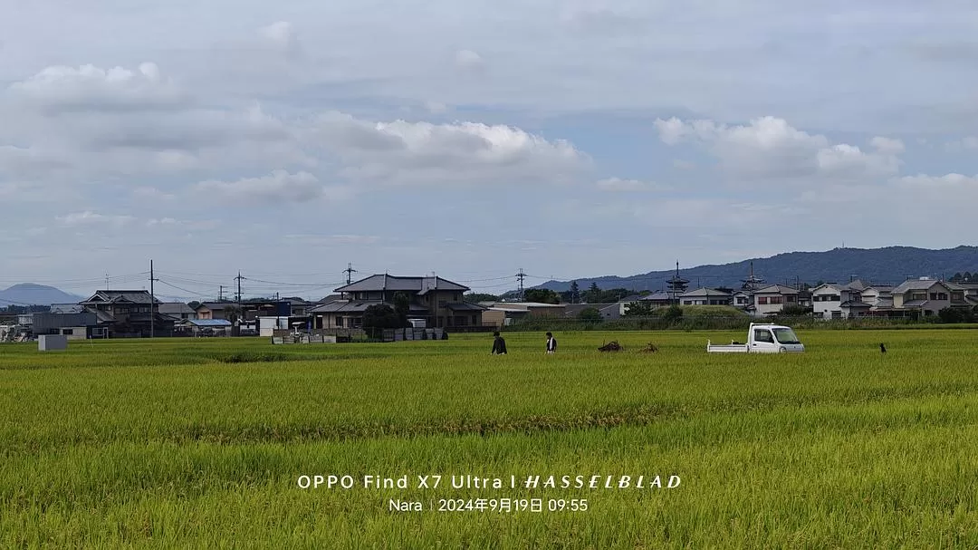 旅游推荐两💓人游：除了吃以外大成功之熊野古道徒步休闲之旅(更新30％)