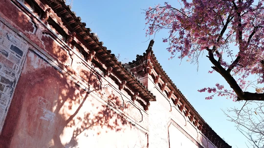 旅游推📢荐一人游：大理一个人的走走停停