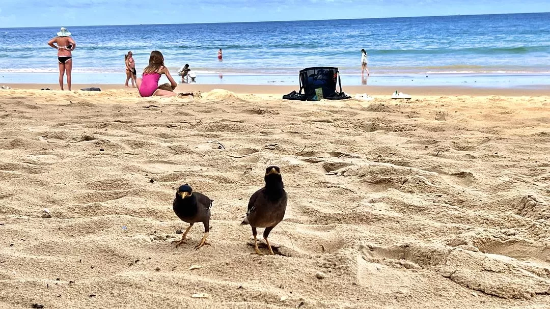 旅游推💢荐国外游:八月普吉岛超美 完美的夏天