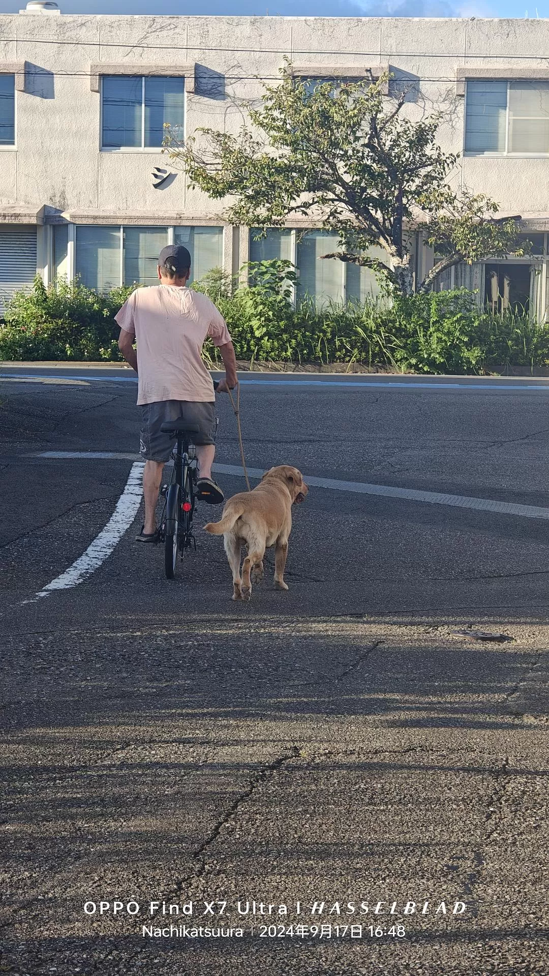 旅游推荐两💓人游：除了吃以外大成功之熊野古道徒步休闲之旅(更新30％)