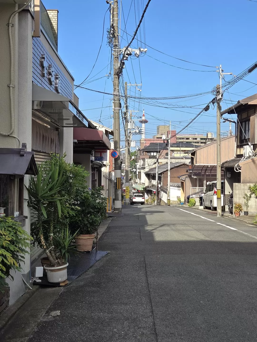 旅游推荐一人游：💝体感40度的天气和日行两万步的关西行