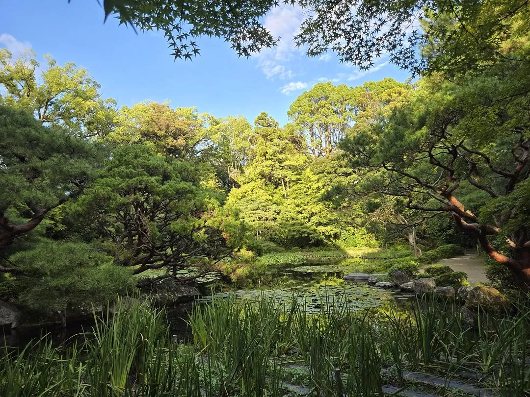 旅游推荐一人游：💝体感40度的天气和日行两万步的关西行