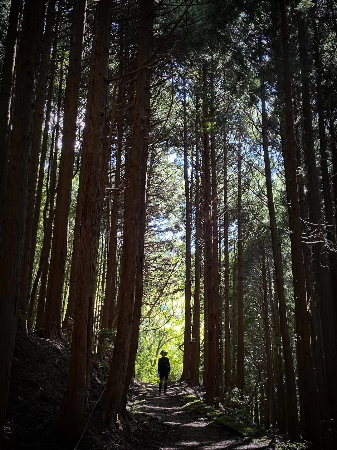 旅游推荐两💓人游：除了吃以外大成功之熊野古道徒步休闲之旅(更新30％)