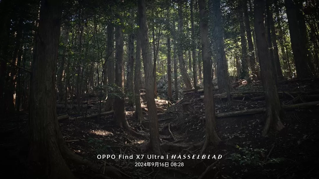 旅游推荐两💓人游：除了吃以外大成功之熊野古道徒步休闲之旅(更新30％)