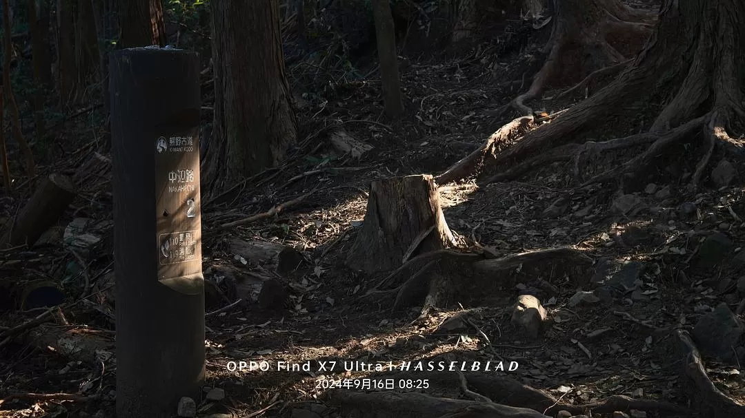 旅游推荐两💓人游：除了吃以外大成功之熊野古道徒步休闲之旅(更新30％)