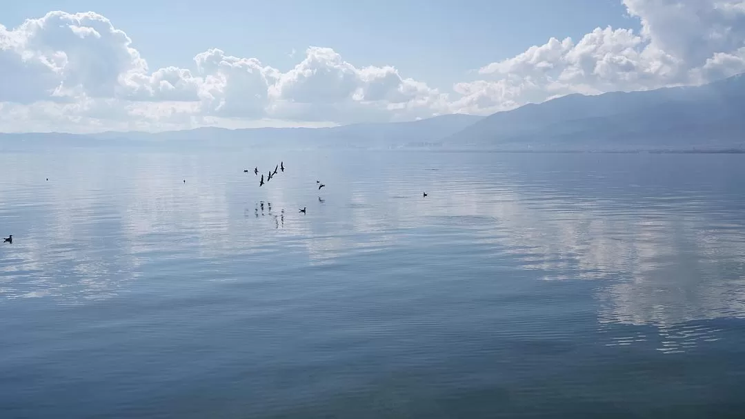 旅游推📢荐一人游：大理一个人的走走停停