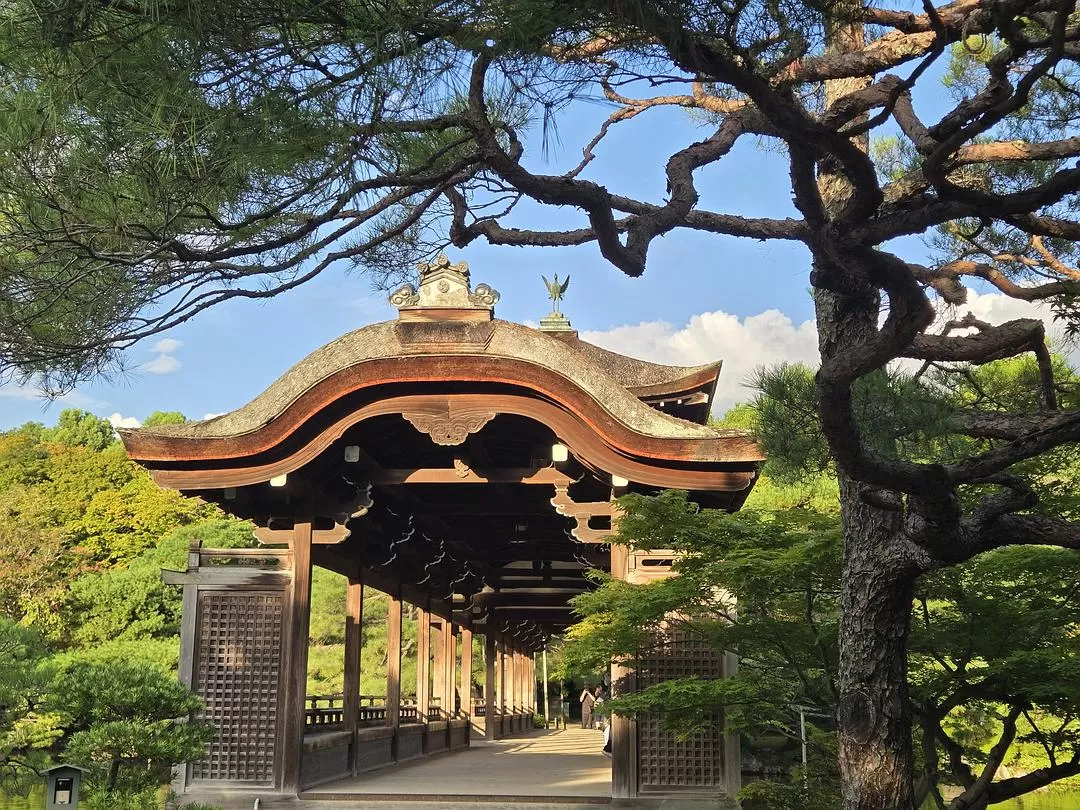 旅游推荐一人游：💝体感40度的天气和日行两万步的关西行