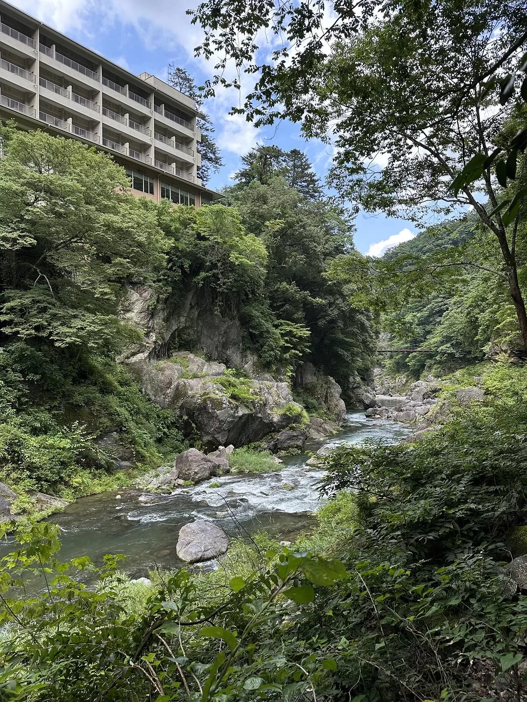 旅游推荐一人游：日本真是最最适合solo trip的🧧地方了（更新中