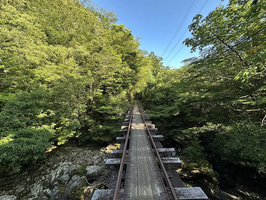 旅游推荐一人游：日本真是最最适合solo trip的🧧地方了（更新中