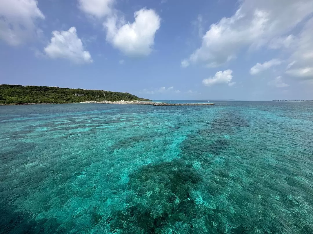 旅游推荐一人游：日本真是最最适合solo trip的🧧地方了（更新中