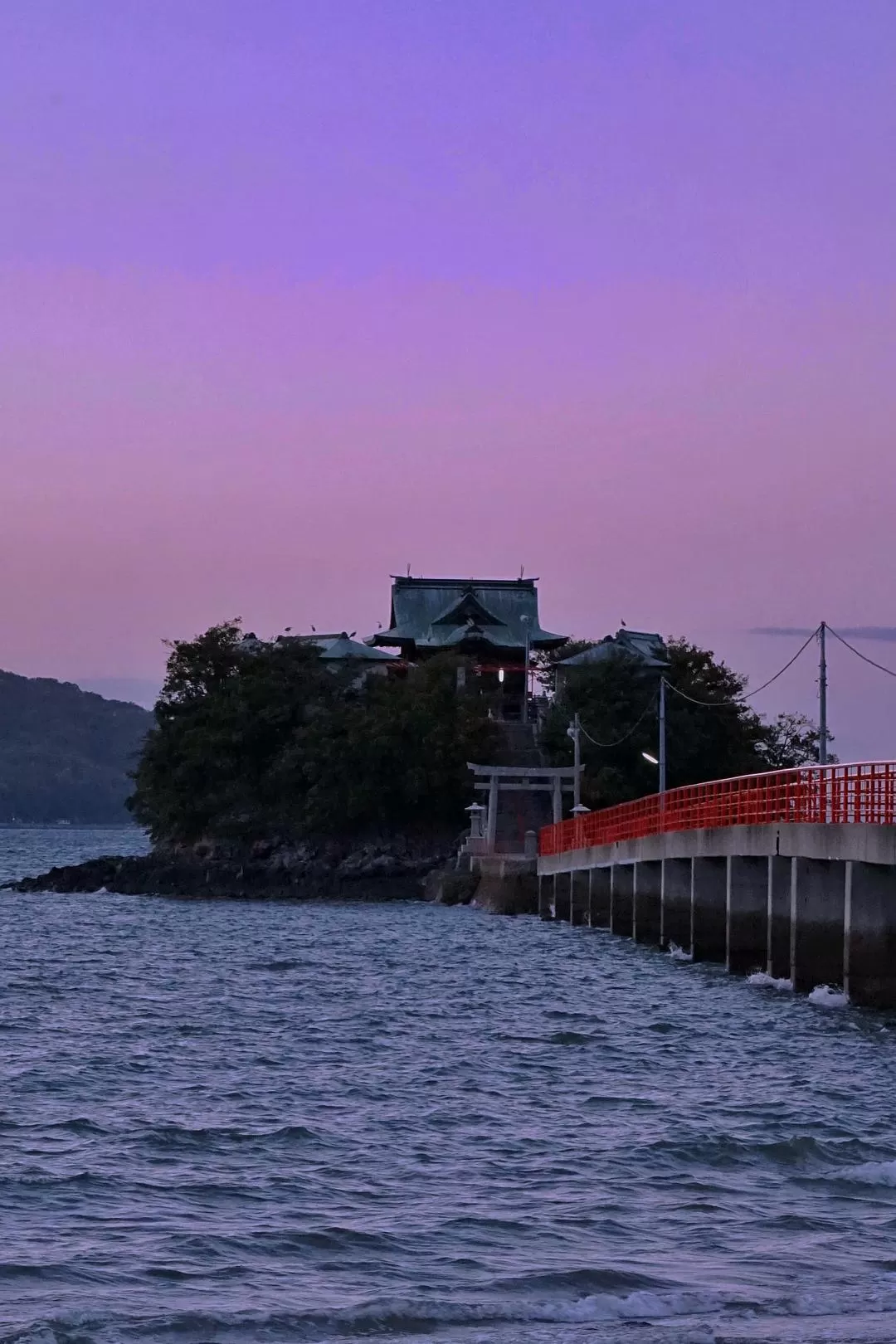 旅游推荐一人游：日本真是最最适合solo trip的🧧地方了（更新中