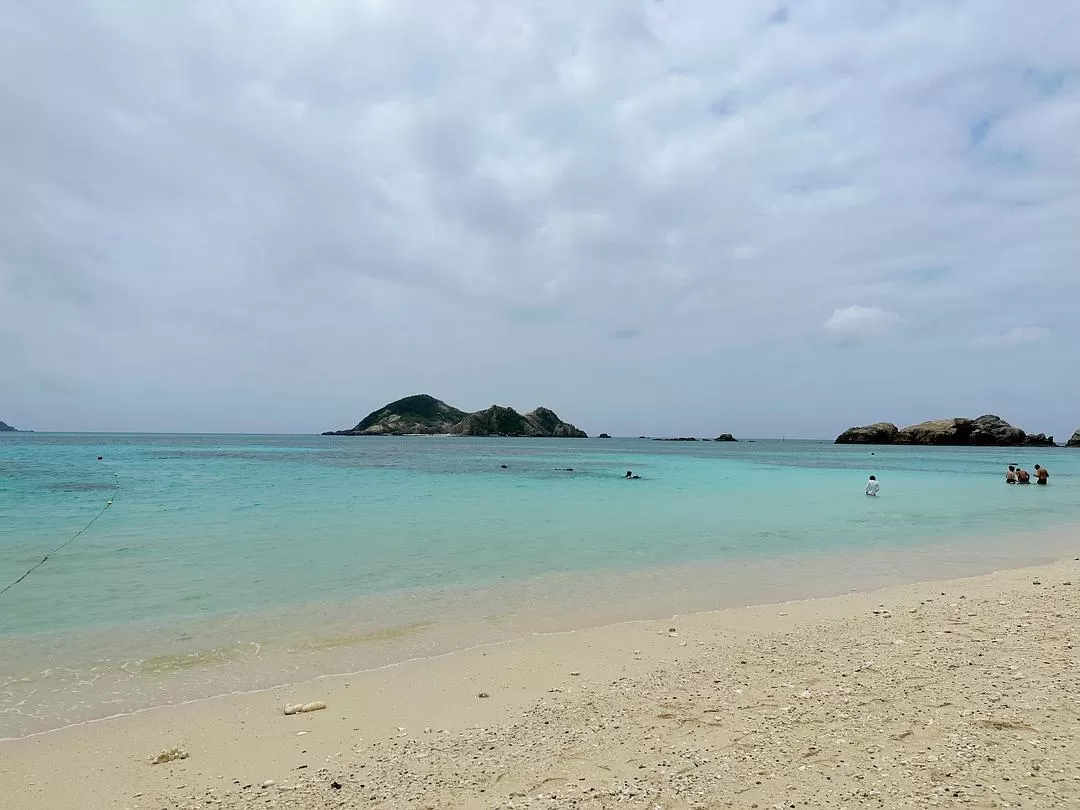 旅游推荐一人游：日本真是最最适合solo trip的🧧地方了（更新中