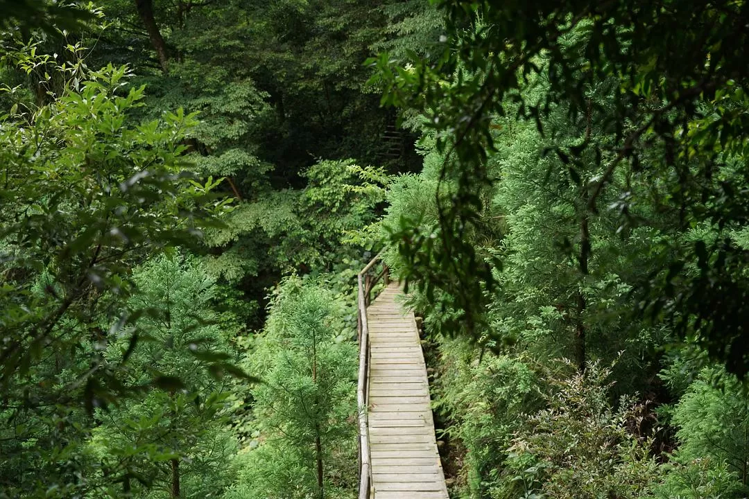 旅游推荐一人游：日本真是最最适合solo trip的🧧地方了（更新中
