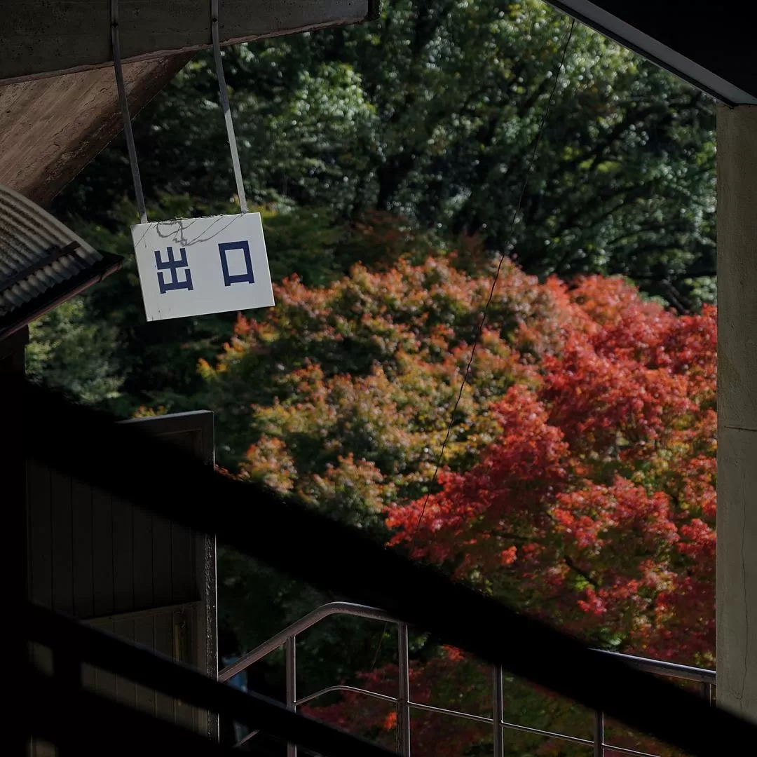 旅游推荐一人游：日本真是最最适合solo trip的🧧地方了（更新中