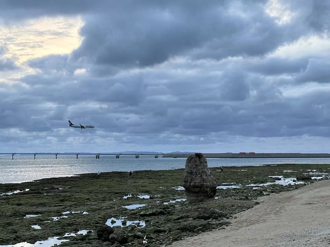 旅游推荐一人游：日本真是最最适合solo trip的🧧地方了（更新中