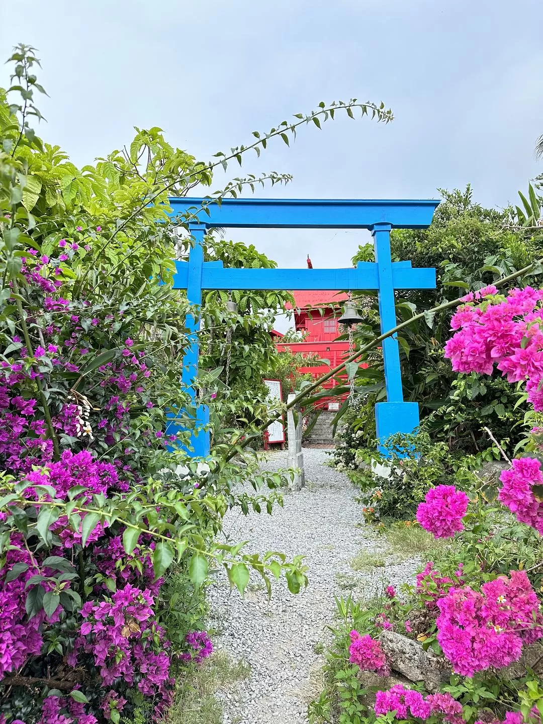 旅游推荐一人游：日本真是最最适合solo trip的🧧地方了（更新中