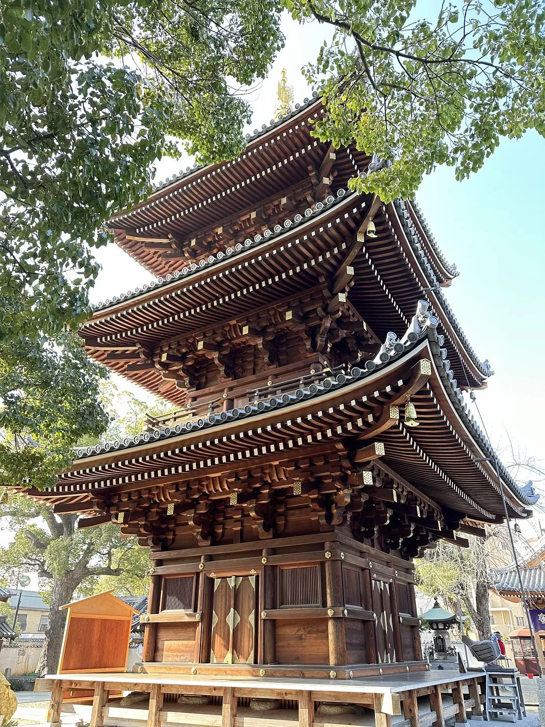 旅游推荐一人游：日本真是最最适合solo trip的🧧地方了（更新中