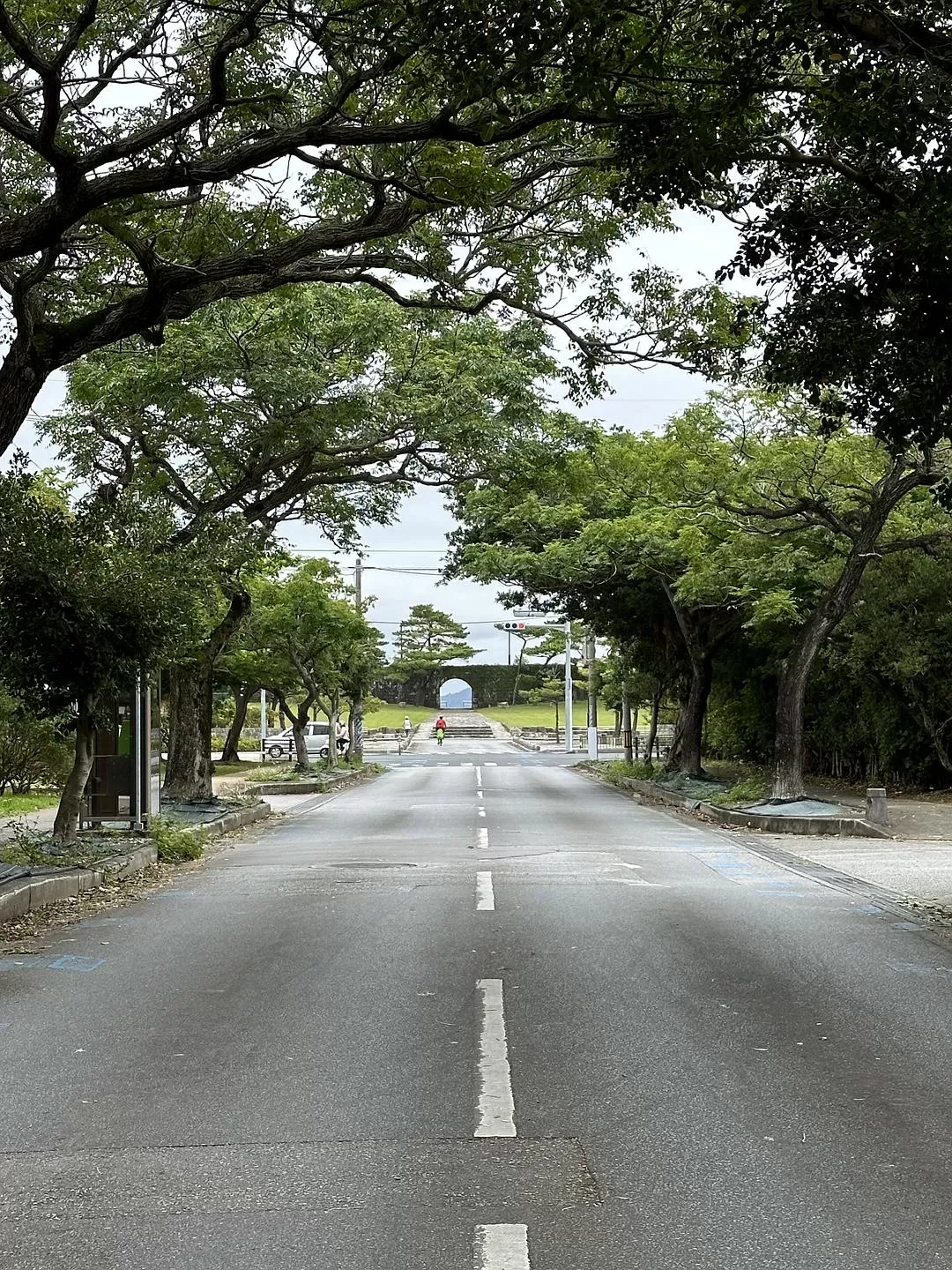 旅游推荐一人游：日本真是最最适合solo trip的🧧地方了（更新中