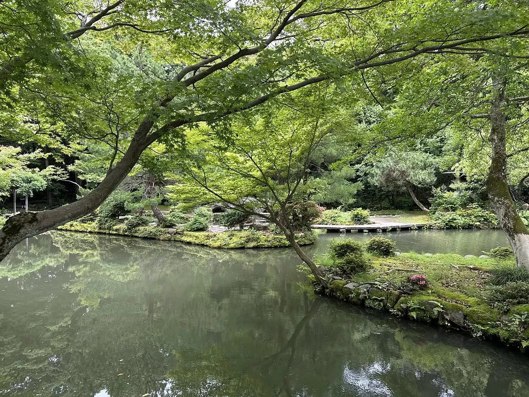 旅游推荐一人游：日本真是最最适合solo trip的🧧地方了（更新中