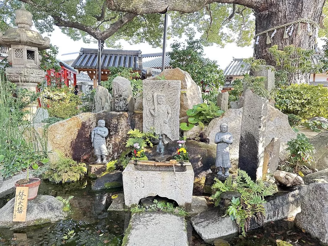 旅游推荐一人游：日本真是最最适合solo trip的🧧地方了（更新中