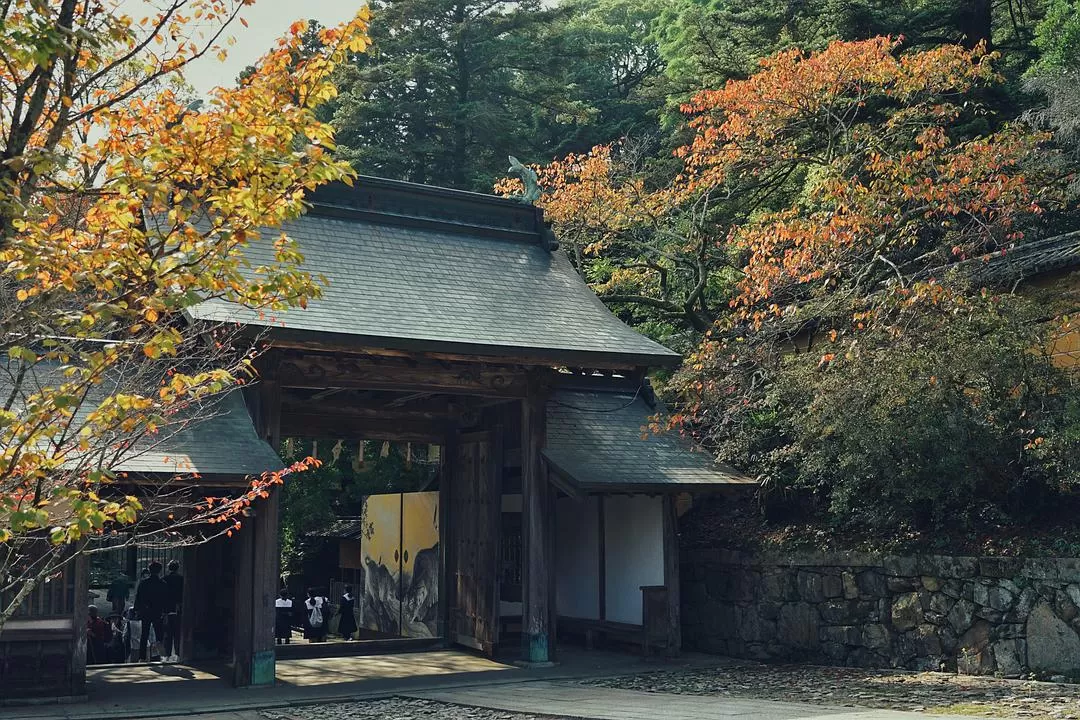 旅游推荐一人游：日本真是最最适合solo trip的🧧地方了（更新中