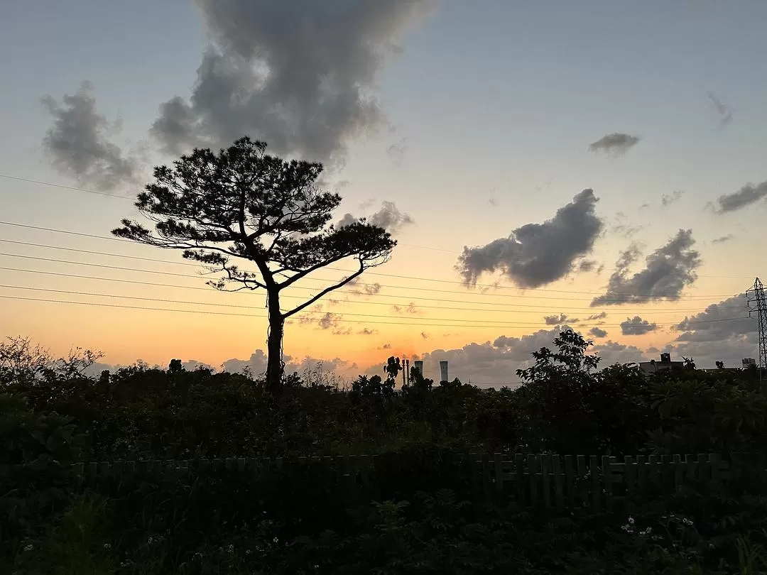 旅游推荐一人游：日本真是最最适合solo trip的🧧地方了（更新中