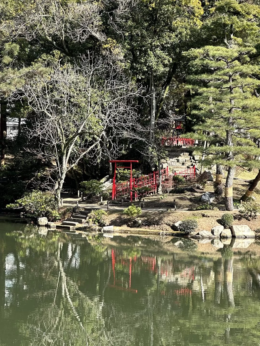 旅游推荐一人游：日本真是最最适合solo trip的🧧地方了（更新中