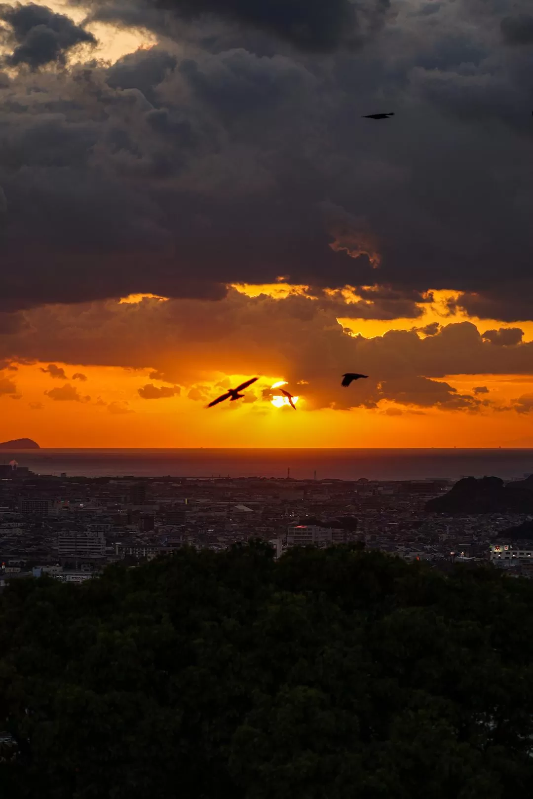 旅游推荐一人游：日本真是最最适合solo trip的🧧地方了（更新中