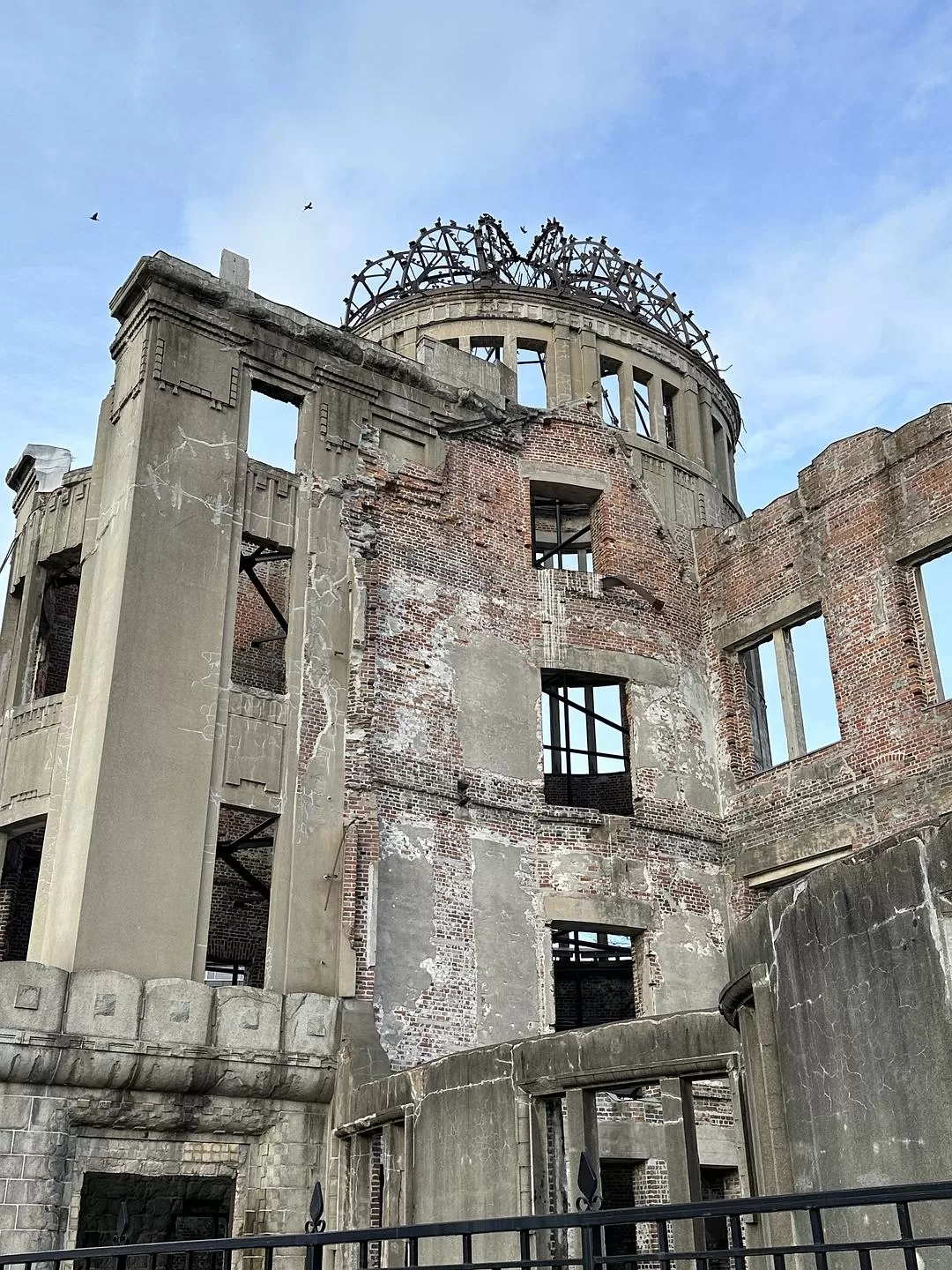 旅游推荐一人游：日本真是最最适合solo trip的🧧地方了（更新中