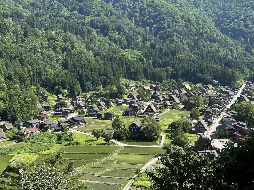 旅游推荐一人游：日本真是最最适合solo trip的🧧地方了（更新中