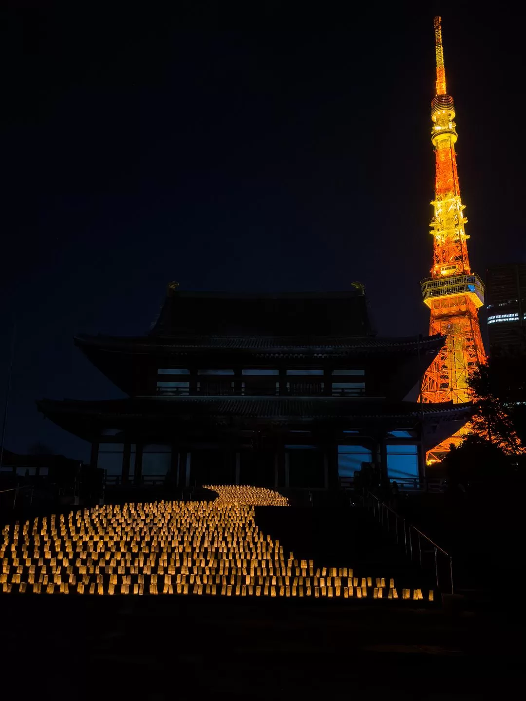 旅游推荐一人游：日本真是最最适合solo trip的🧧地方了（更新中
