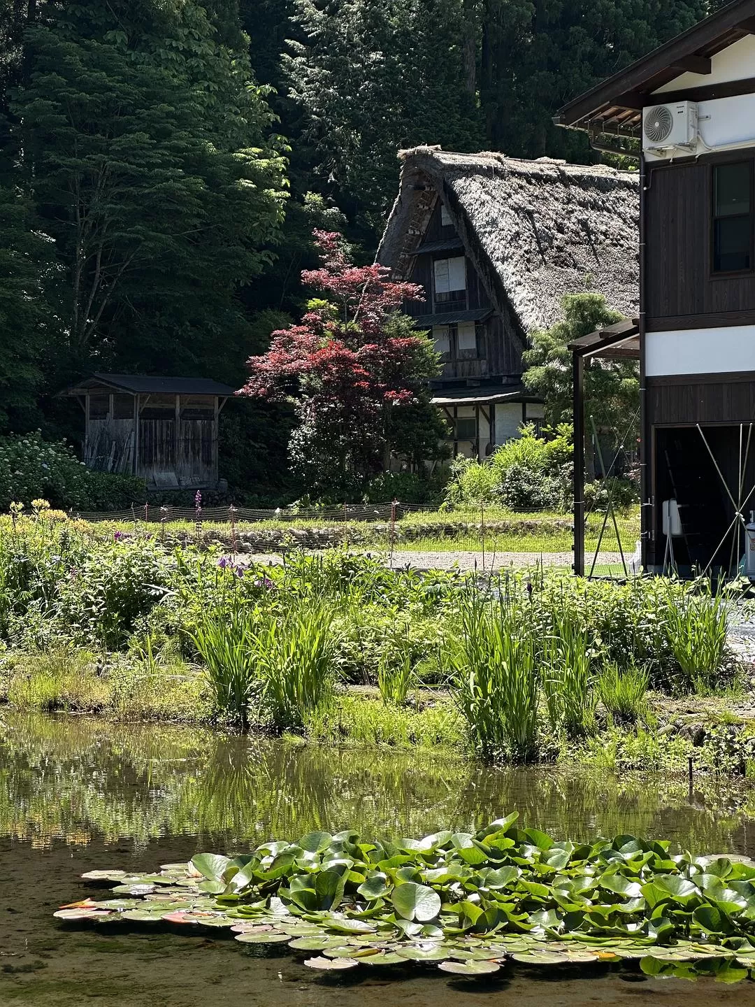 旅游推荐一人游：日本真是最最适合solo trip的🧧地方了（更新中