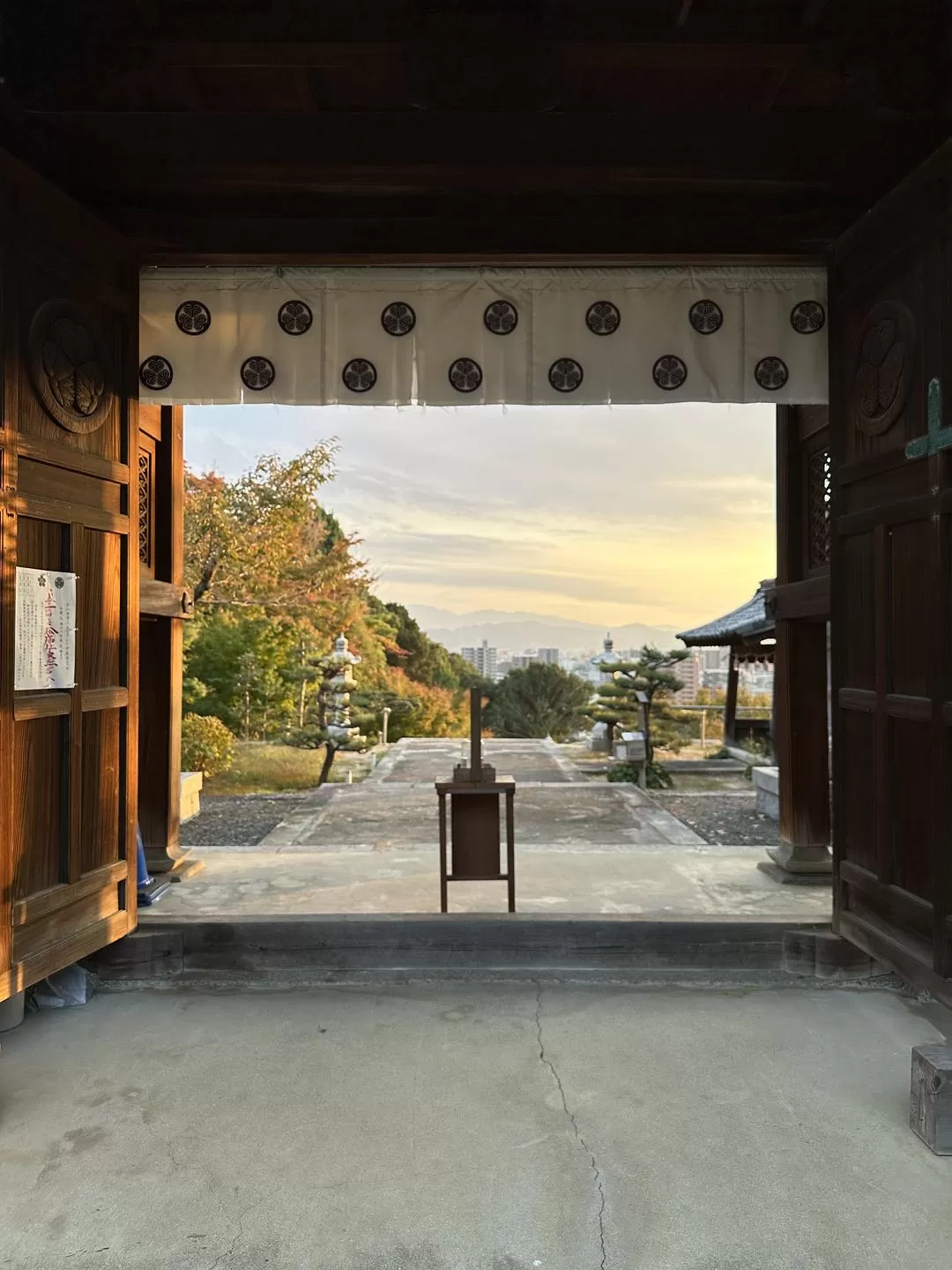 旅游推荐一人游：日本真是最最适合solo trip的🧧地方了（更新中