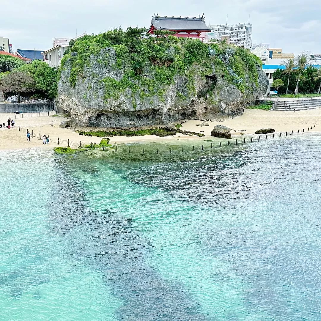 旅游推荐一人游：日本真是最最适合solo trip的🧧地方了（更新中
