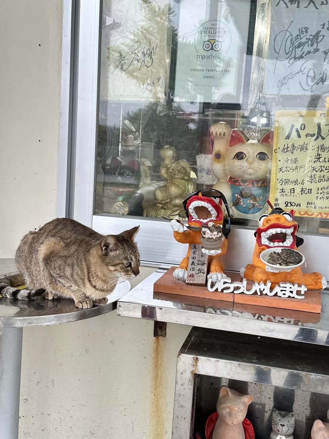 旅游推荐一人游：日本真是最最适合solo trip的🧧地方了（更新中