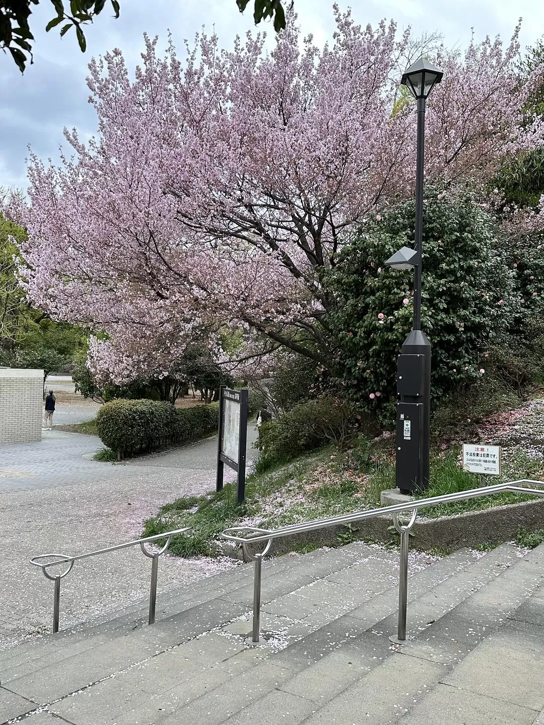 旅游推荐一人游：日本真是最最适合solo trip的🧧地方了（更新中