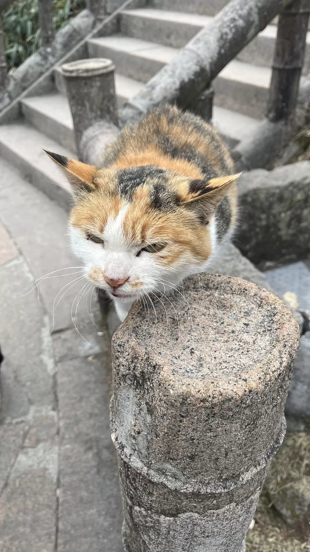 旅游推荐两人游：广州简易南上🏆14天省钱版