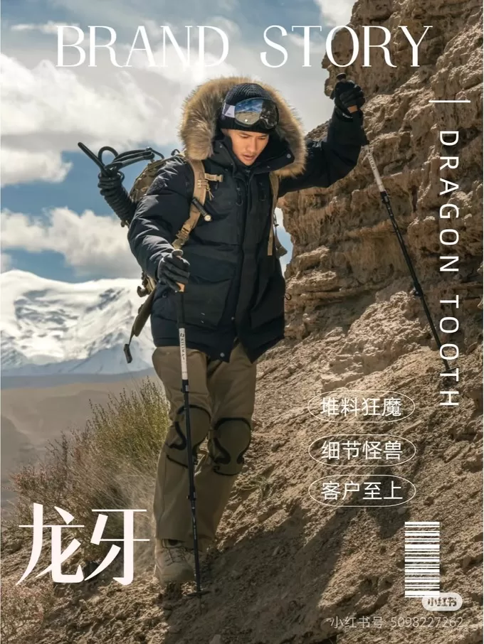 💢龙牙能作为鸟家平替嘛？