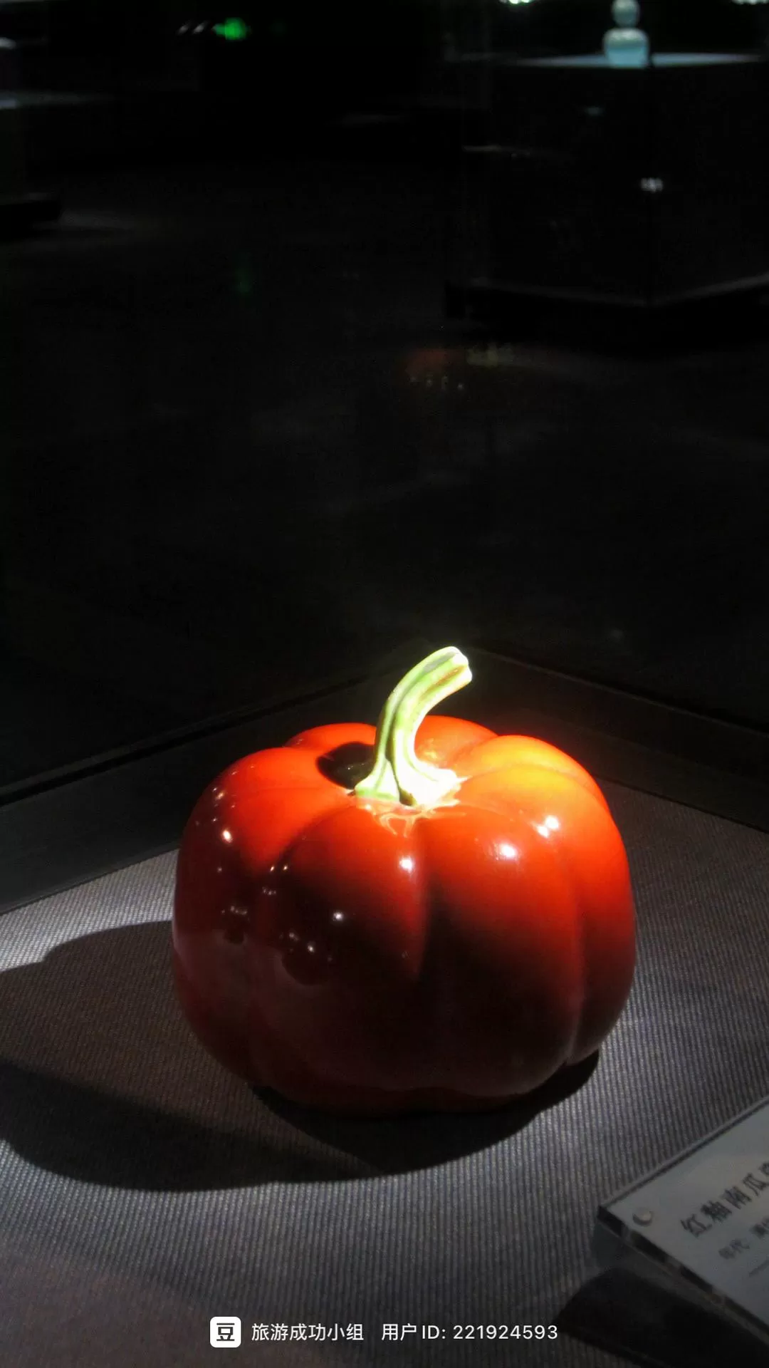 旅游推荐两人游：广州简易南上🏆14天省钱版