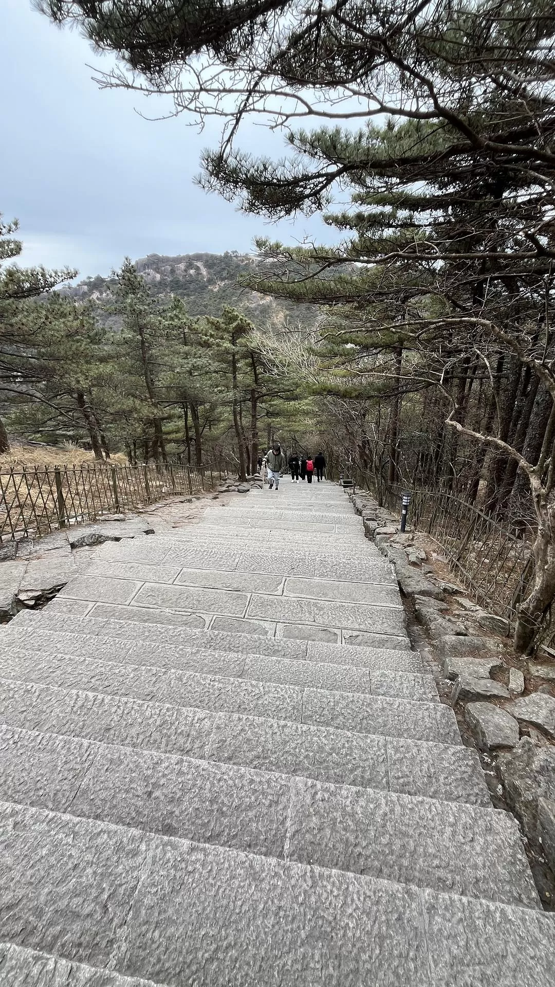 旅游推荐两人游：广州简易南上🏆14天省钱版