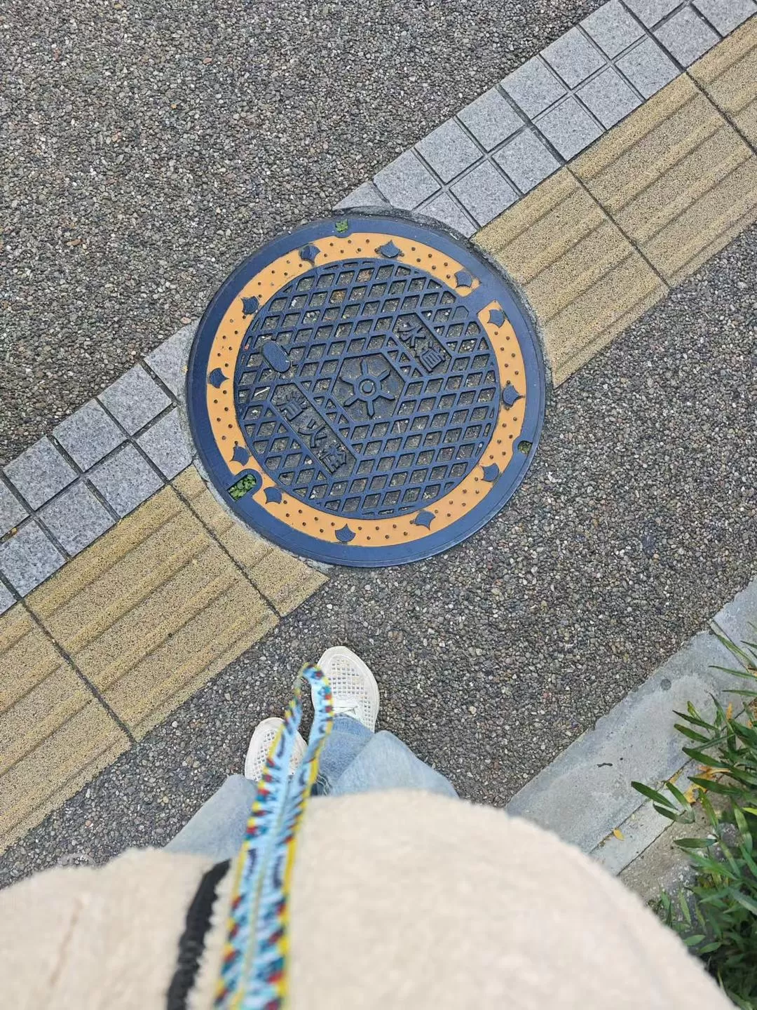 旅游推荐两人游：12.17-30日本14日(二)东京5日（续）🏅+京都5日