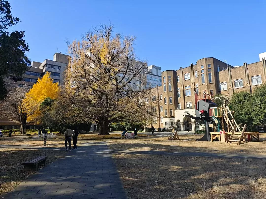 旅游推荐两人游：12.17-30日本14日(二)东京5日（续）🏅+京都5日